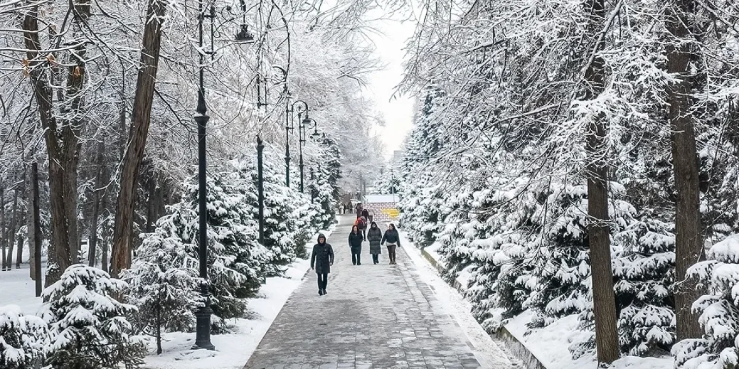 В Астане предложили изменить подход к уборке снега и наледи