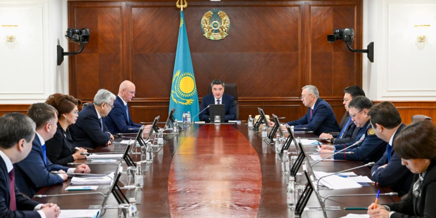 Бектенов жаңа Конституция жайлы жазғандарды жазалауды тапсырды