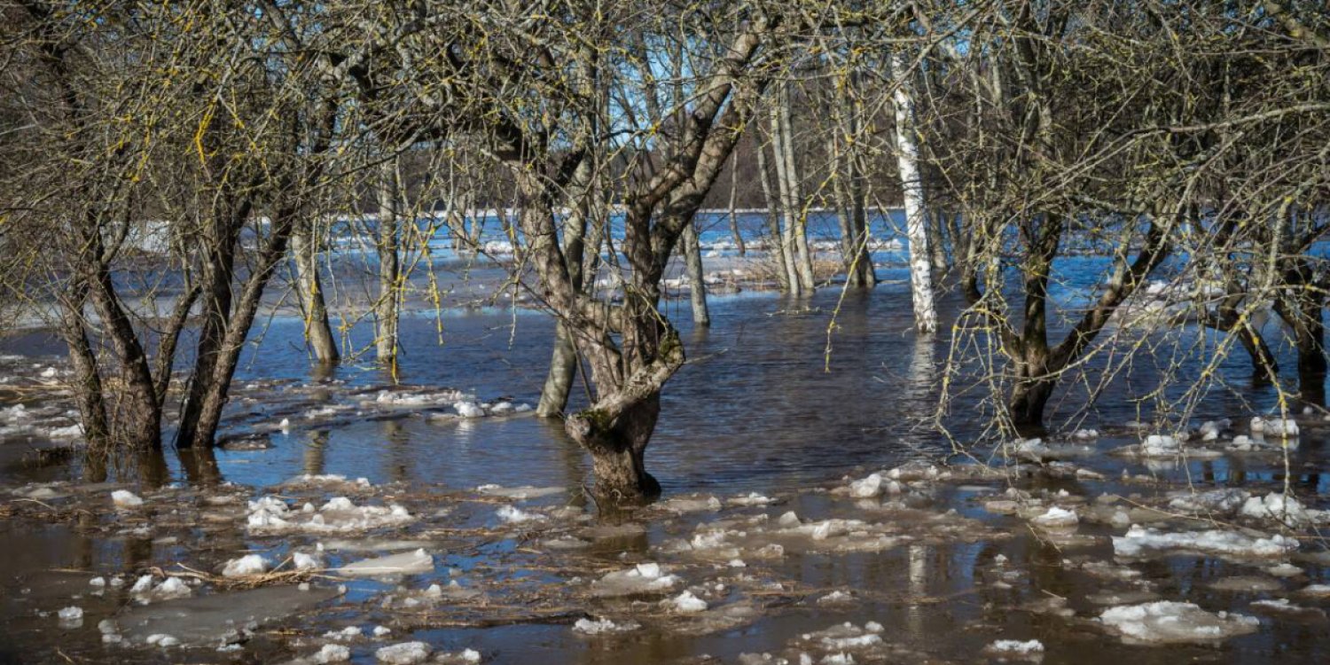 Наурызда күн жылып, жаңбыр жауады: бес облысқа су тасқыны қаупі төніп тұр