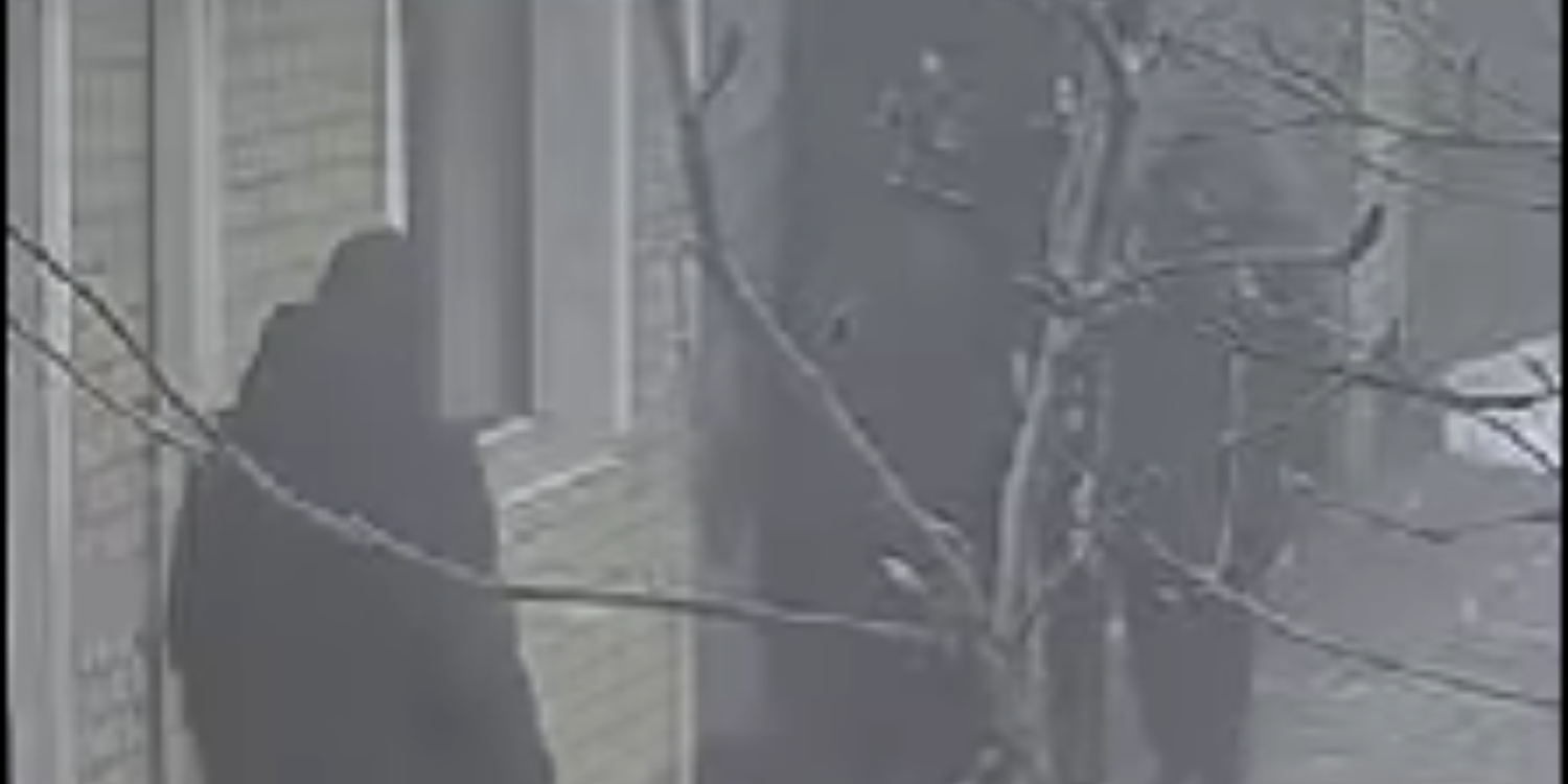 Вооруженные налетчики ворвались в дом алматинцев