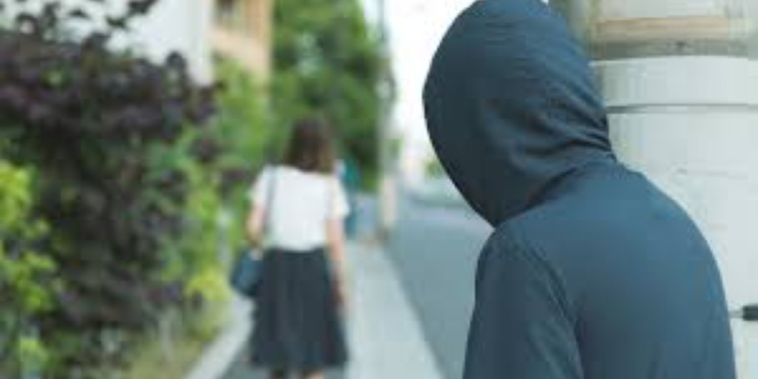 МВД сообщило о первых результатах применения статьи о сталкинге