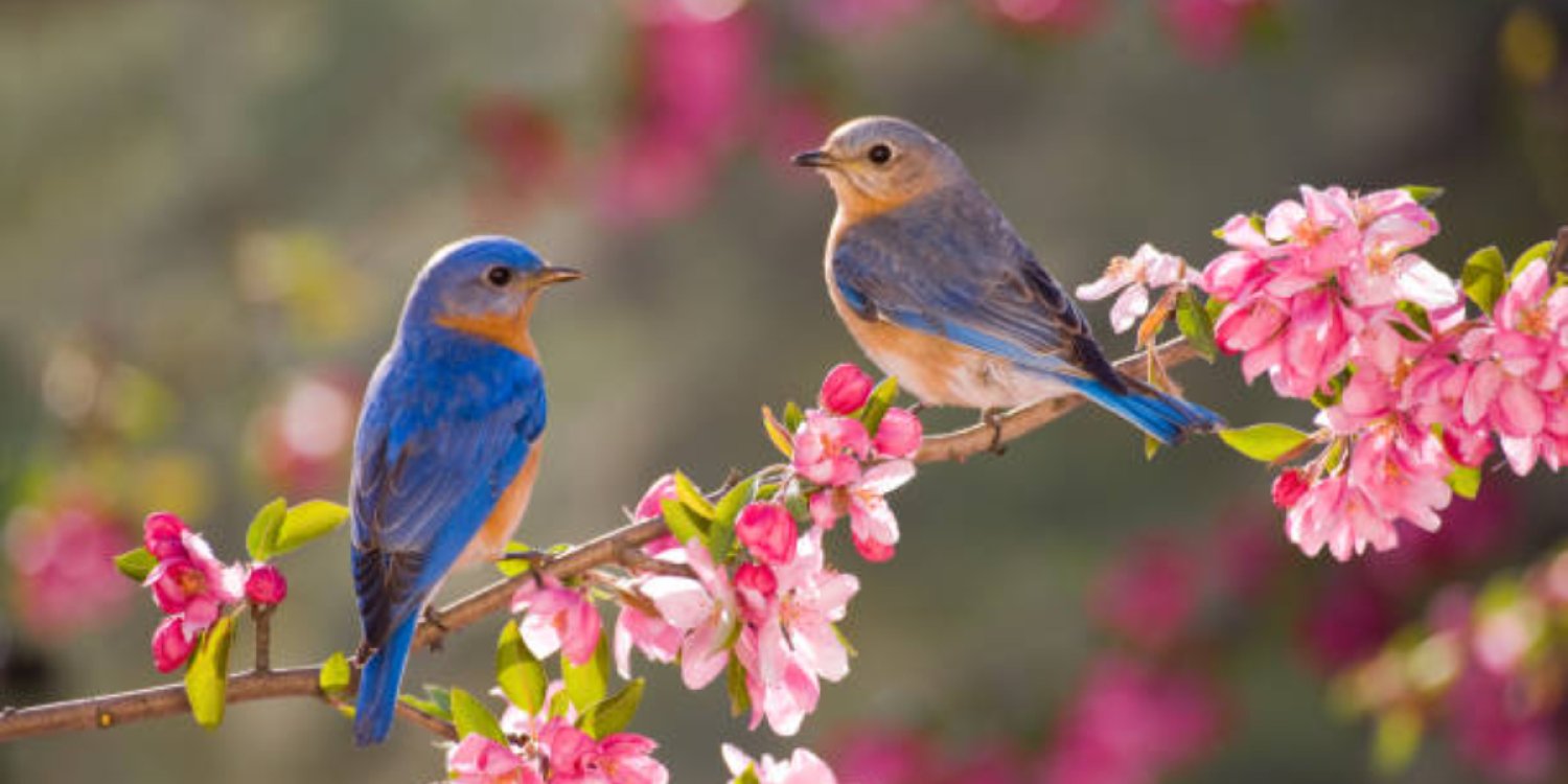 "+30°C-қа дейін жылиды": алдағы күндерге арналған ауа райы болжамы жарияланды