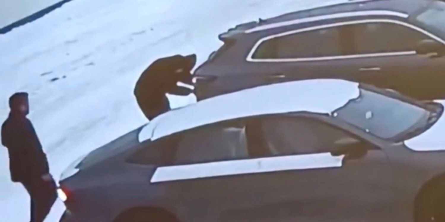 Алматы облысында автосалон қызметкерлері көз алдында жаңа көлікті ұрлап кетті (ВИДЕО)