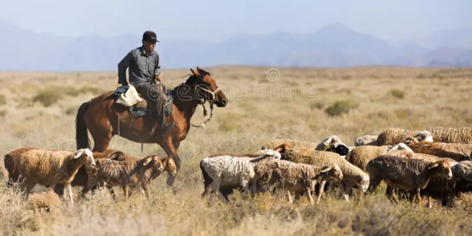 Абай облысында бес күн далада қалған малшы қар жеп аман қалды