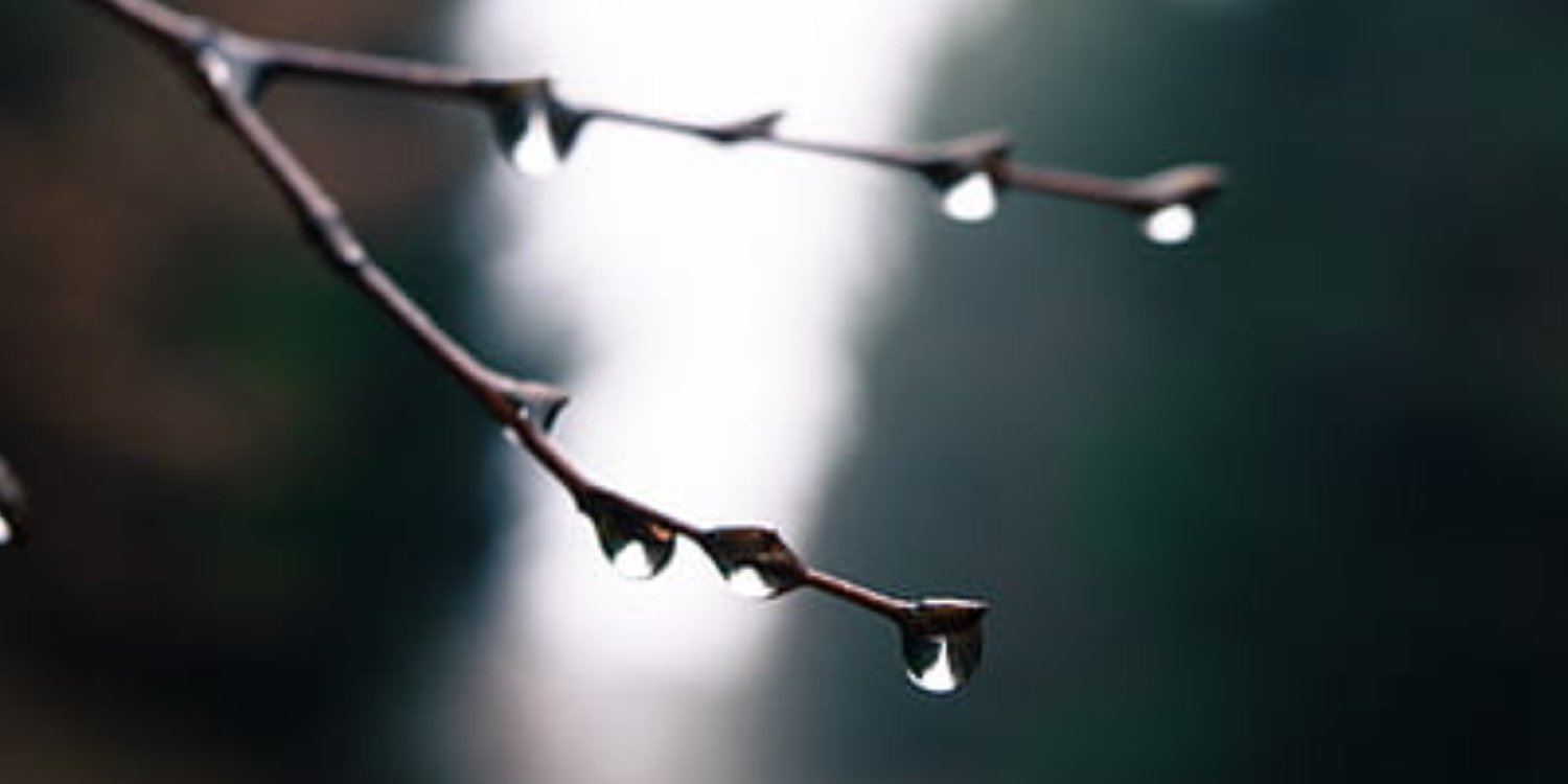 Осадки и грозы ожидаются в Казахстане 23 марта