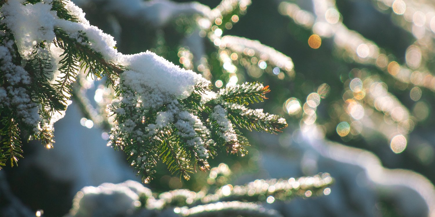 В Казахстане 17 апреля ожидаются дожди, снег и усиление ветра