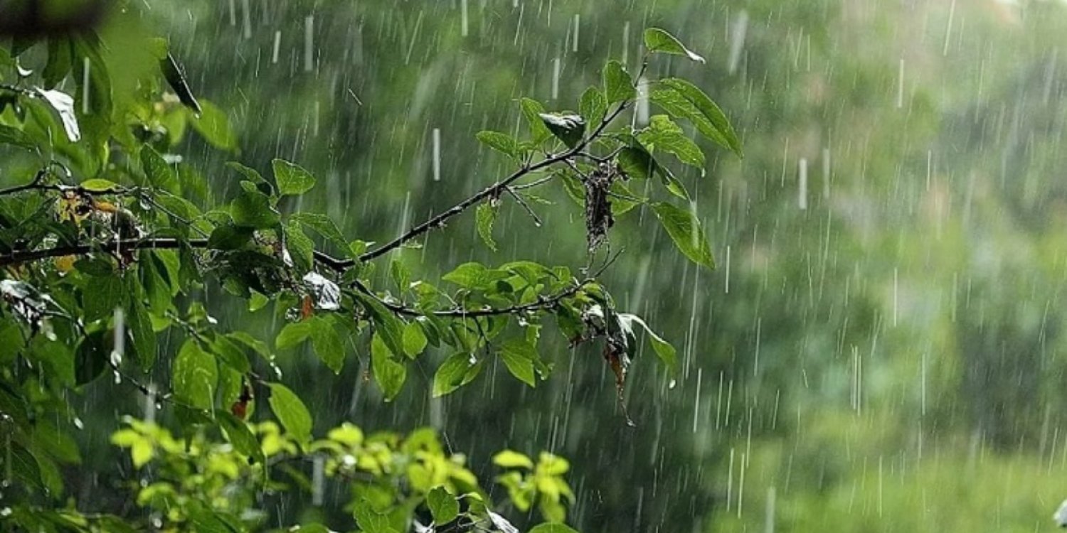 Дожди и грозы накроют Казахстан 9 апреля