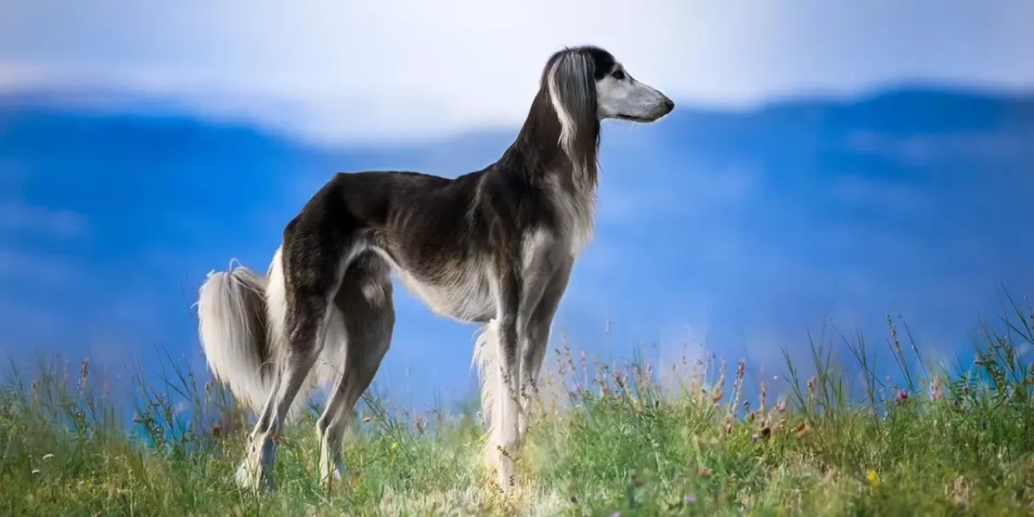 Қазақстанда жаңа мереке пайда болды