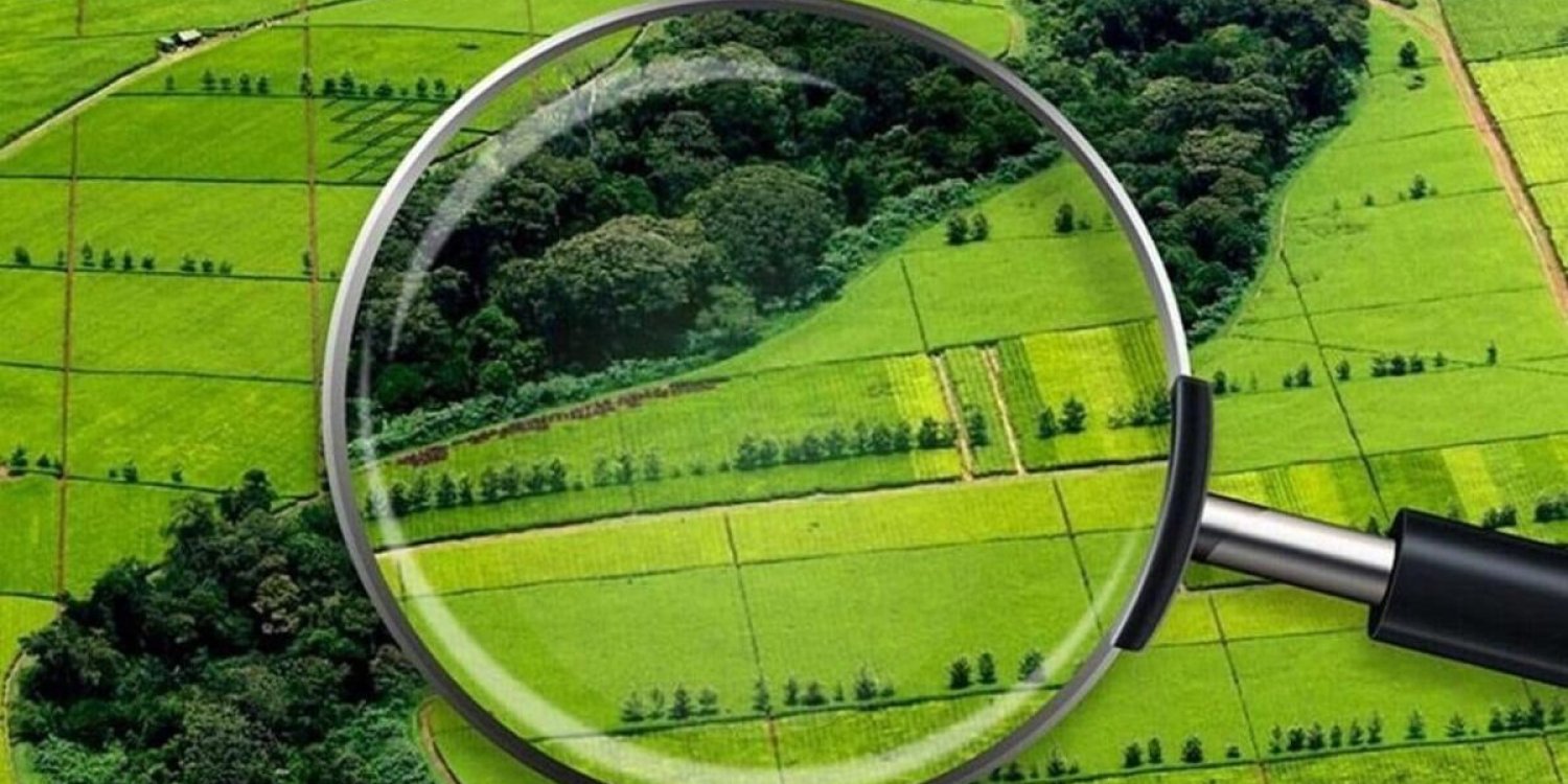 Алматыда құны 2 млрд теңгеден асатын жер мемлекетке қайтарылды