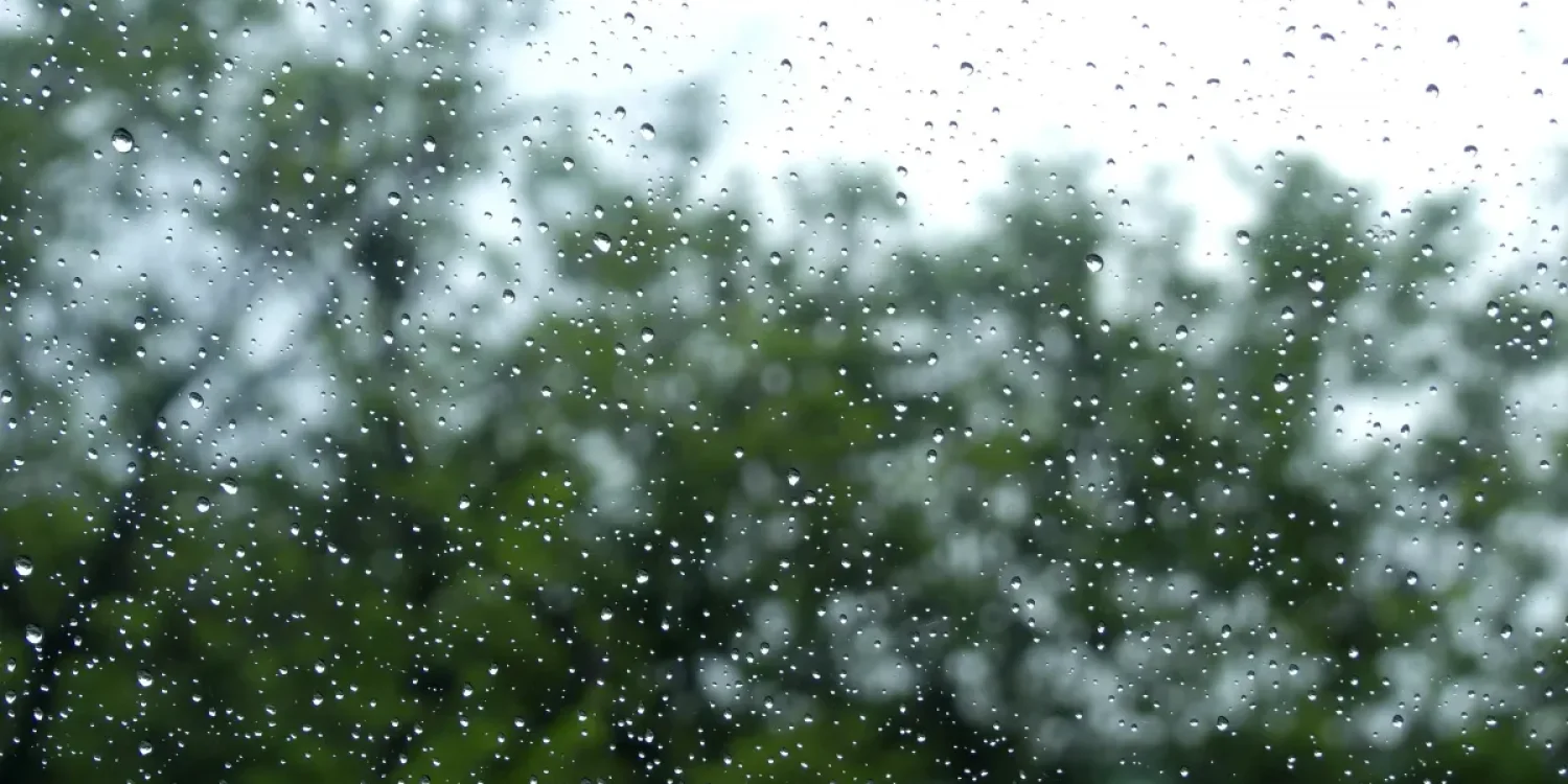 Синоптики прогнозируют осадки и усиление ветра по стране