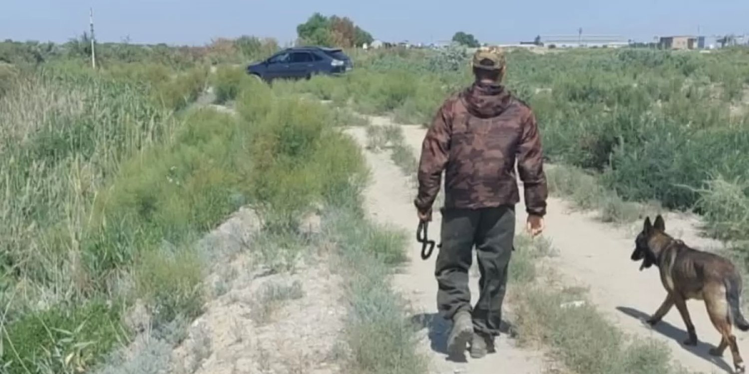 Қызылорда облысында жоғалған 6 жастағы қыз екінші тәулік іздестіріліп жатыр