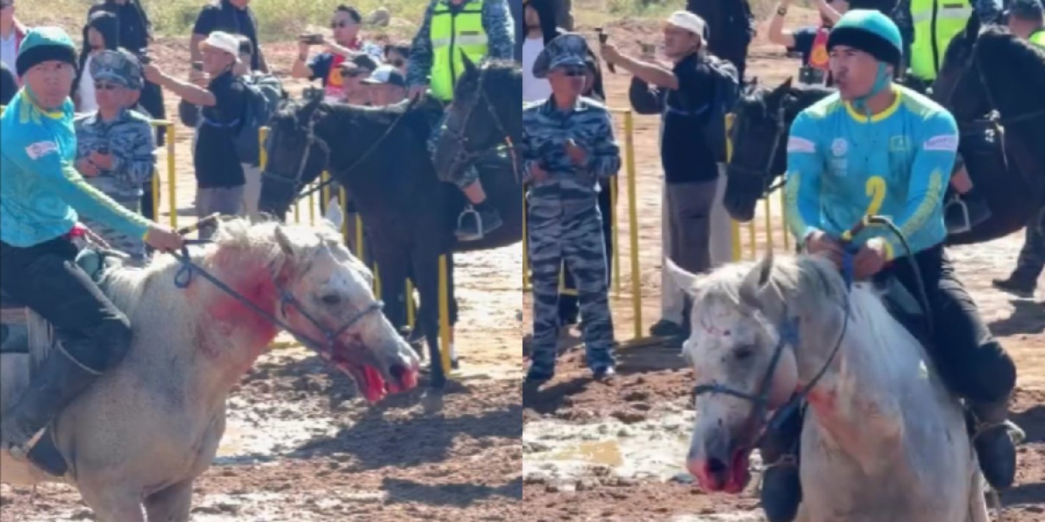 На Играх кочевников распространилось видео с окровавленной лошадью