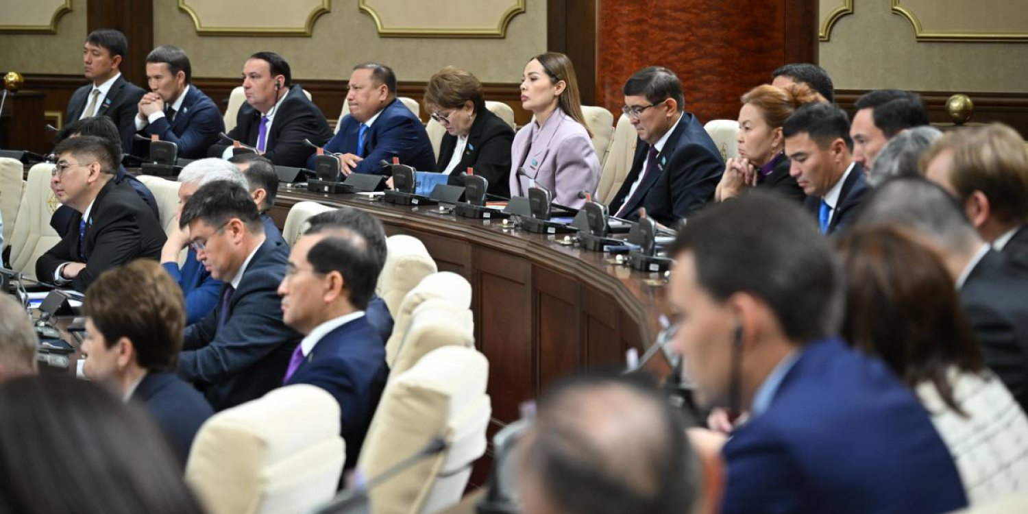 Құрылтай депутаттары айына 1 млн теңгеге дейін алады – Дания Еспаева