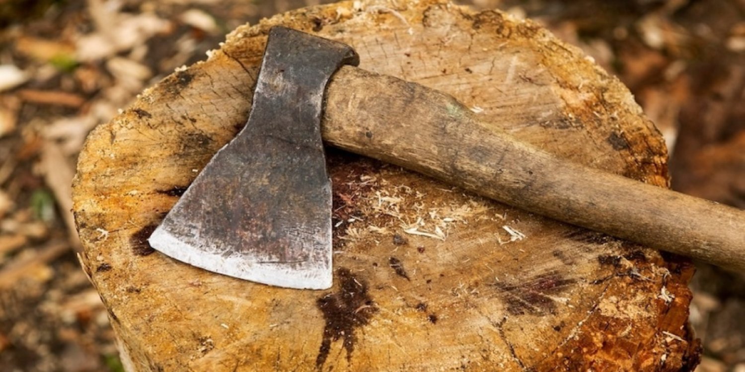 СҚО-да 89 жастағы әйел балтамен өлтірілген: Күдікке ұлы ілінді