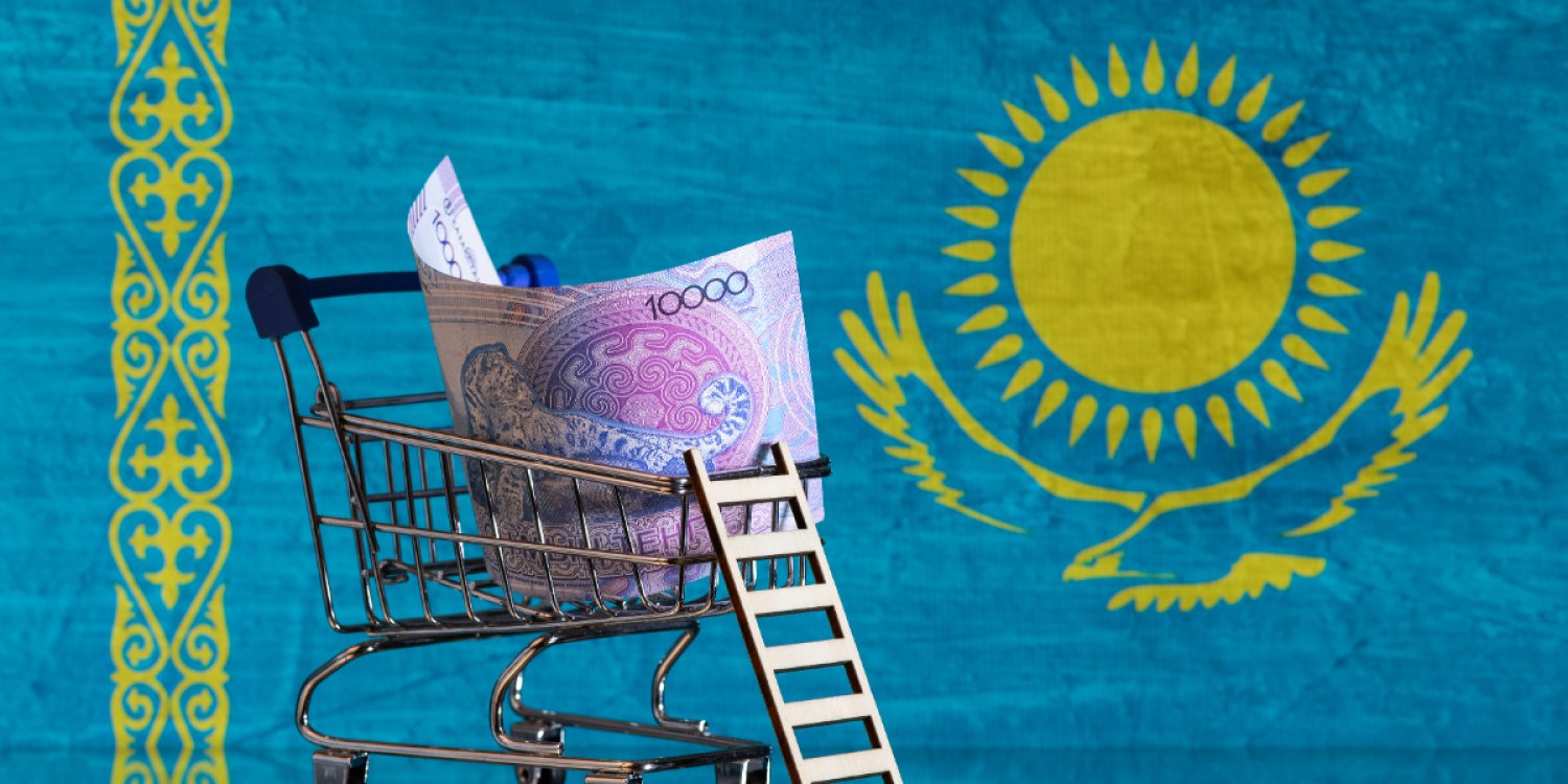 Халық кеңесін құру үшін бюджеттен қанша ақша бөлінеді?