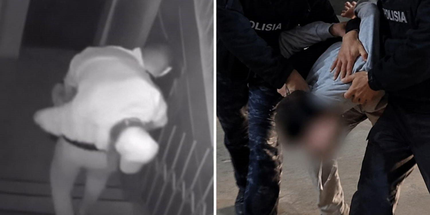Қапқа  оралған мәйітті иыққа асып әкеткен: Алматыдағы сұмдық оқиғаның мән-жайы белгілі болды
